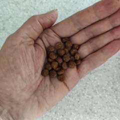 Фото отзыва 10539576