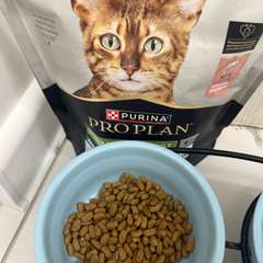 Фото отзыва 10979708