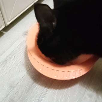 Корм для собак и щенков Pet-a-Pet 240г диетический профилактика болезней печени Hepatic: отзыв пользователя. Зоомагазин Зоозавр