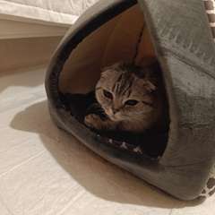 Фото отзыва 10985954