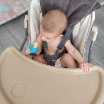 Стульчик для кормления Babyton Brown классический: отзыв пользователя ДетМир