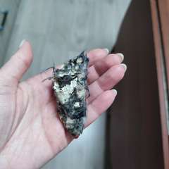 Фото отзыва 10592494