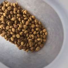 Фото отзыва 10608296