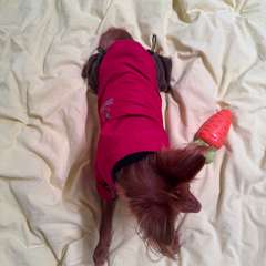 Фото отзыва 10731290