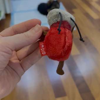 Игрушка для кошек GiGwi Сверчок со звуковым чипом 75467: отзыв пользователя. Зоомагазин Зоозавр