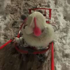 Видео отзыва 10847275