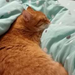 Фото отзыва 11026344