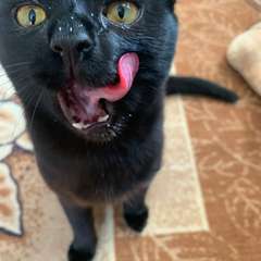 Фото отзыва 10781711