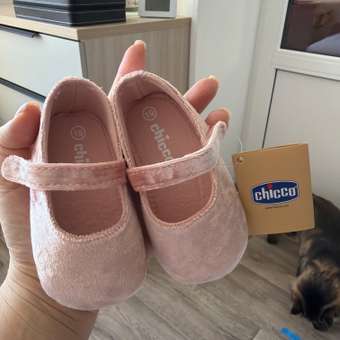 Пинетки Chicco: отзыв пользователя Детский Мир