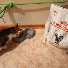 Фото отзыва 10826227