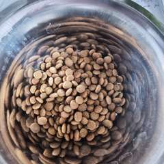 Фото отзыва 10462037