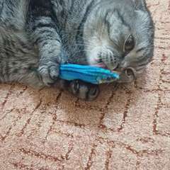 Фото отзыва 10711348