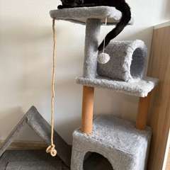 Фото отзыва 10029217