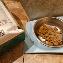 Фото отзыва 10728330