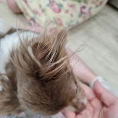 Фото отзыва 10674317