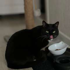 Фото отзыва 10447935