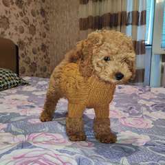 Фото отзыва 10430274