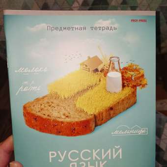 Тетрадь Prof-Press 48 лист. (Русский язык): отзыв пользователя Детский Мир
