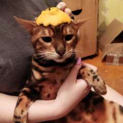 Фото отзыва 10757605