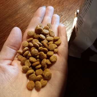 Корм для собак ROYAL CANIN Gastro Intestinal Low Fat LF22 при нарушении пищеварения с ограниченным содержанием жиров 1.5кг: отзыв пользователя. Зоомагазин Зоозавр