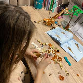 Конструктор LEGO Creator Дикие животные сафари 780 дет.: отзыв пользователя Детский Мир