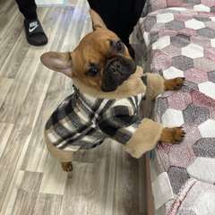 Фото отзыва 10549283