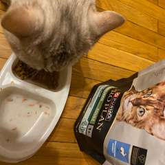 Фото отзыва 10886723