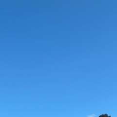 Фото отзыва 11504231