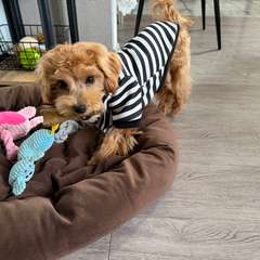 Фото отзыва 11042056