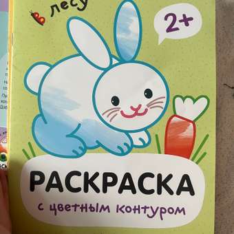 Раскраски с цветным контуром В лесу: отзыв пользователя Детский Мир