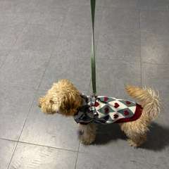 Фото отзыва 11204852