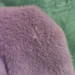 Фото отзыва 8044931