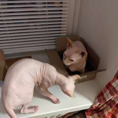 Фото отзыва 10884555