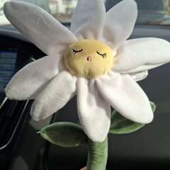 Фото отзыва 11120007