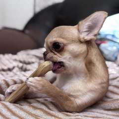 Фото отзыва 10739576