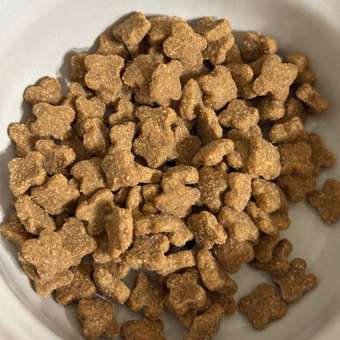 Корм для собак ROYAL CANIN мелких пород 800г: отзыв пользователя. Зоомагазин Зоозавр