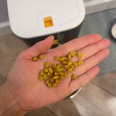 Фото отзыва 10516475