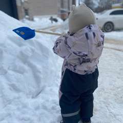 Фото отзыва 11017463