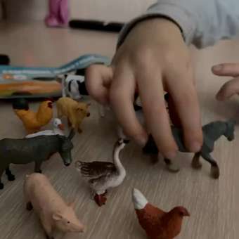 Игровой набор TrendToys домашние животные 12шт: отзыв пользователя Детский Мир