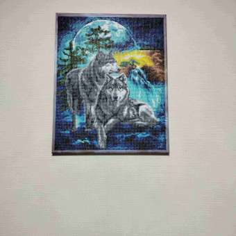 Алмазная мозаика Art on Canvas Лунная ночь в ассортименте: отзыв пользователя Детский Мир