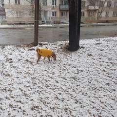 Фото отзыва 10608092