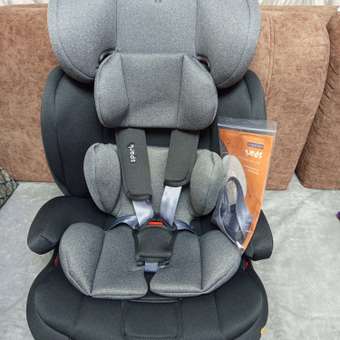Автокресло Rant Basic Spark Grey 1/2/3 (9-36 кг) серый: отзыв пользователя Детский Мир