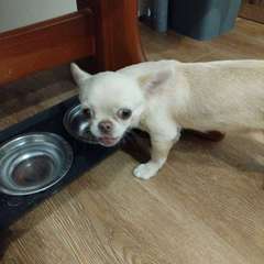 Фото отзыва 10315203