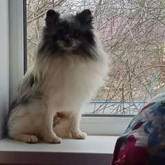 Фото отзыва 10762145