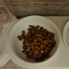 Фото отзыва 10953136