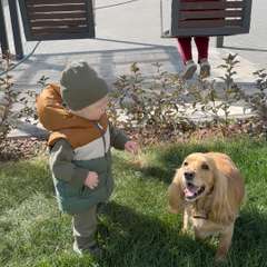 Видео отзыва 7419675