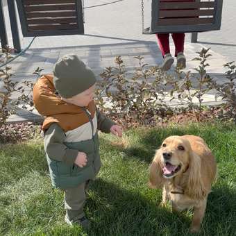 Жилет Baby Gо: отзыв пользователя Детский Мир