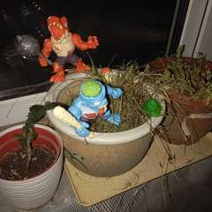 Фото отзыва 10697150