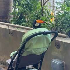 Фото отзыва 11122099