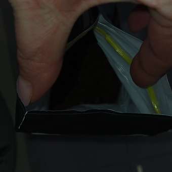 Корм сухой для кошек PRO PLAN 1.5кг с курицей: отзыв пользователя. Зоомагазин Зоозавр